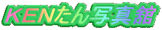 �j�d�m����ʐ^��